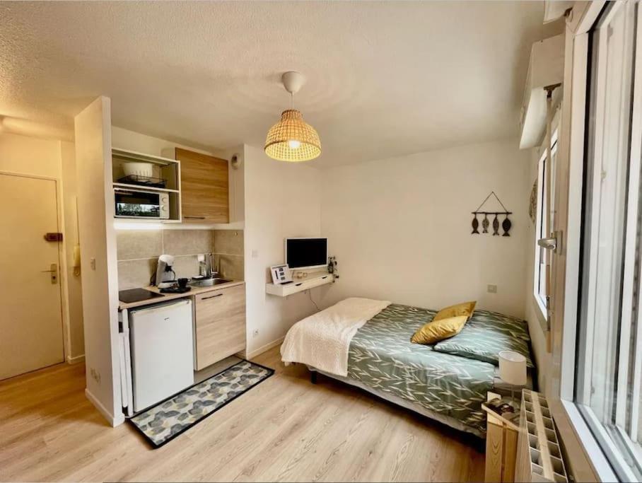 Appartement Studio Orchidee - Metro Arenes - Hopital A 5 Mn
